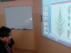prezentacia liečivé rastliny